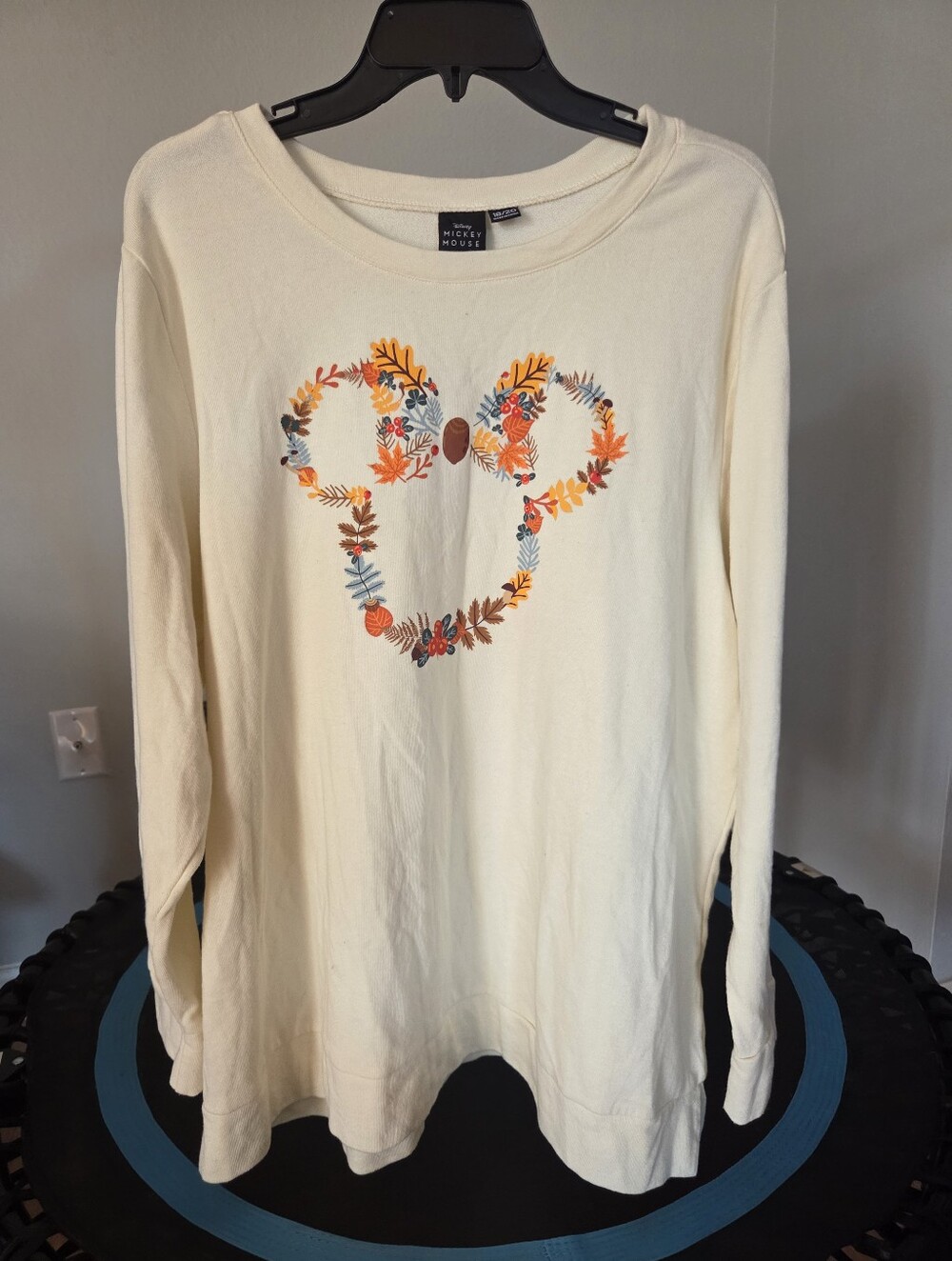 Disney Autumn Mickey Mouse Sweater Sz 18/20 Cream